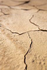 Craquelure terre dans le desert