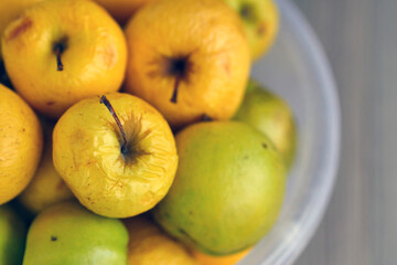 Rotting yellow apples, shriveled apples that have been sitting in a bowl for a long time,