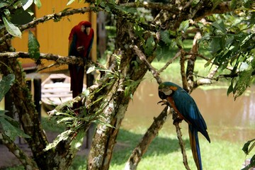 Nature is the world around us, not created by man. That which is primary, which appeared long before man. The natural habitat of man. Forests, mountains, seas, oceans, flora, fauna, and man himself.