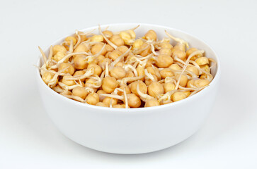 Chickpea sprouts, in a white bowl, front view, on white surface. Ready to eat, sprouted chickpeas, seeds of Cicer arietinum, a legume and protein source, known as chick or garbanzo beans, and as gram.