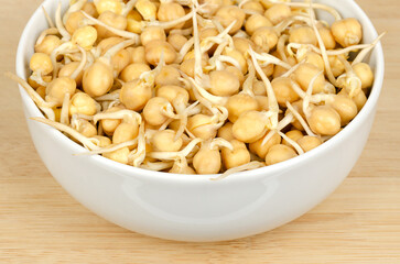 Chickpea sprouts, in a white bowl, on wooden surface. Raw, fresh, ready to eat, sprouted chickpeas, seeds of Cicer arietinum, a legume and protein source, known as chick or garbanzo beans and as gram.