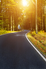 Obraz premium Winding asphalt road in the autumn forest by the sunset sun