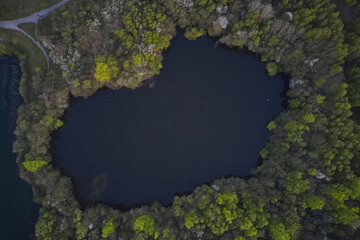 trees forming a hole with a lake