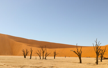 Fototapeta na wymiar Deadvlei, Sossusvlei, Namibia