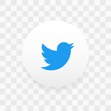 solid twitter logo with shadow icon.