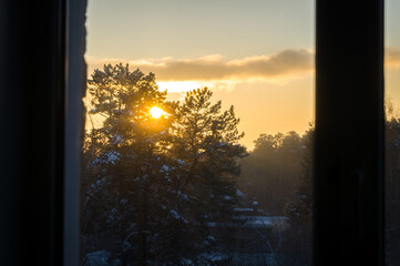 View from the window to the setting sun over the forest. The rays of the evening sun make their way through the crown of the tree in winter. Selective focus