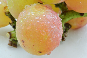 葡萄　シナノスマイル