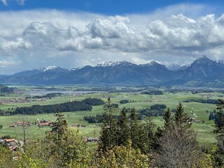 Allg&auml;u