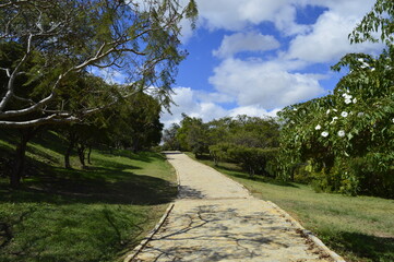 Caminho entre as árvores do jardim