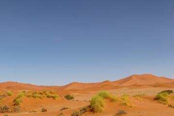 Namibia Landscape