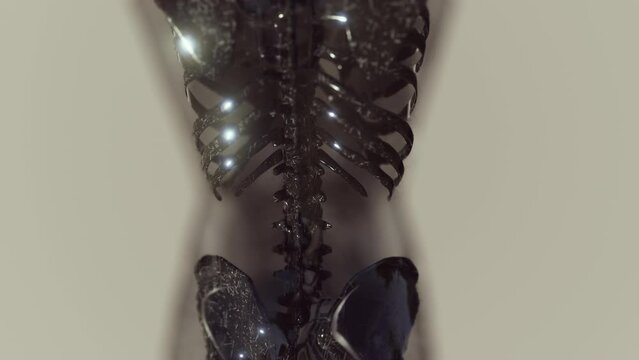 glow skeletal bones of human