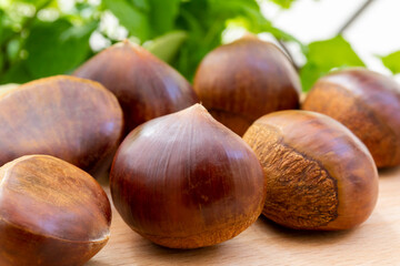 Autumn delicacies, chestnuts, white, white background