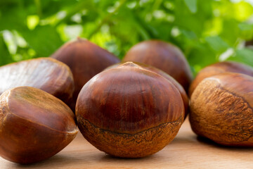 Autumn delicacies, chestnuts, white, white background