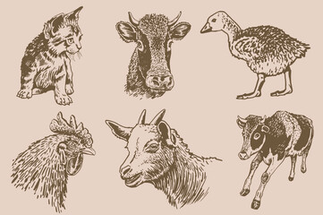 Vector vintage collection of farm animals , rural wildlife elements for design,coloring and printing
