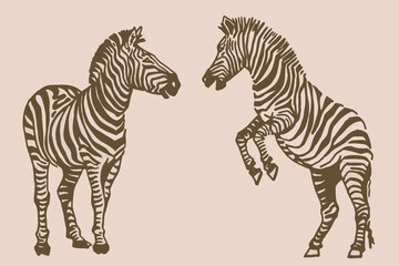 Vector sepia collection of zebras, graphical elements of zebra. Abstract stripy animals