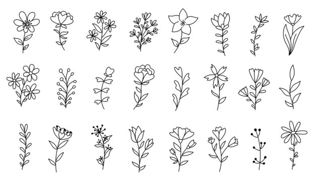 Doodle flowers and branches collection hand drawn outline vector illustration.