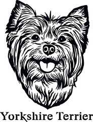 Yorkshire Terrier - Funny Dog, Vector File, Cut Stencil for Tshirt