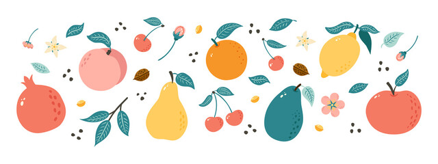 Hand Drawn Fruits. Collection of Doodle style fruits illustrations for poster, banner, background, market label, logo, sticker, postcard, menu, food package design and decoration