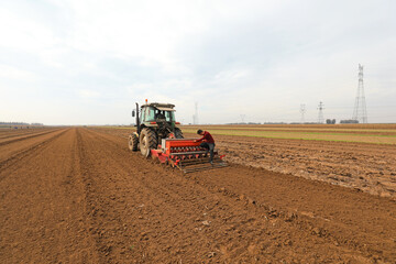 Obraz premium farmers sow winter wheat in fields, North China