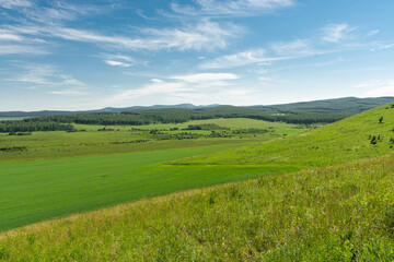 Green valley under blue sky with hills, forest and field. Beautiful landscape as a background