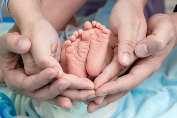 Feet of a newborn baby in the hands of parents, Happy Family oncept,  Mum and Dad hug their baby's legs.