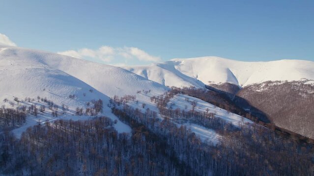 Aerial shot: Winter Carpathian mountains. Borzhava. Winter skiing and freeride