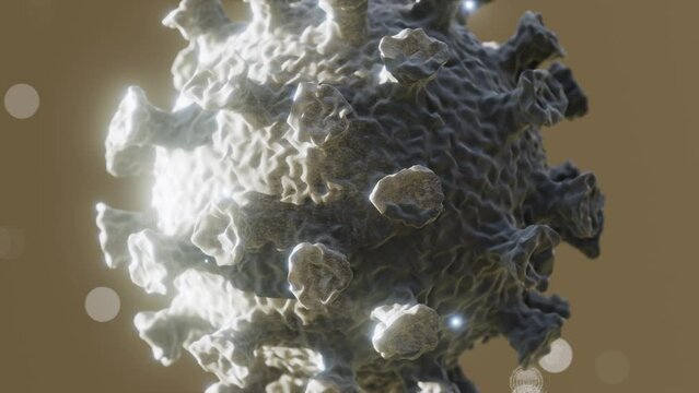 Flu COVID-19 virus variant of Coronavirus