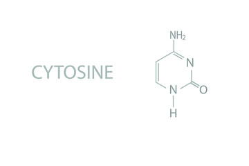 Cytosine molecular skeletal chemical formula.	