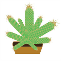 Isolated vector image growing cactus in a pot. Houseplant icon. 