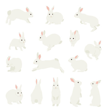 うさぎ Images – Browse 60,798 Stock Photos, Vectors, and Video
