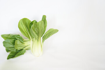 Beautiful Bok choy (chinese cabbage or Qing geng cai) isolated on white with natural shadows