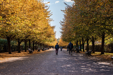 London, UK. July 20, 2021. People walking on treelined garden path and relaxing on bench