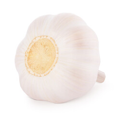 Whole fresh garlic isolated on white background.