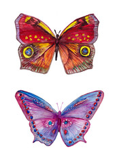 Watercolor butterflies is on white background