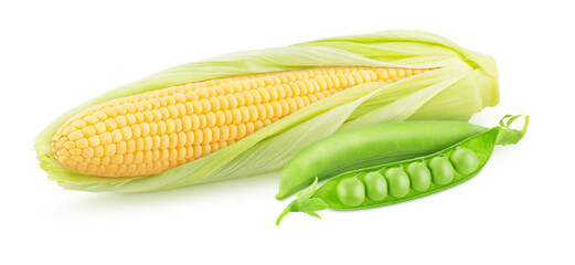 Composition with fresh whole corn and green pea isolated on a white background.