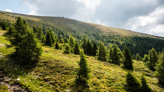 Wald auf dem Zirbitzkogel