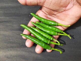 Green chili in black background. Its other name chilli pepper, chilli Nahuatl chilli. It is a...