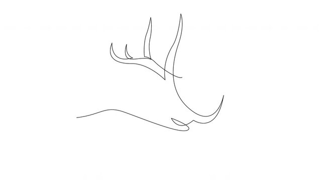 Animated self drawing of single continuous line draw elegance cute deer for national zoo logo identity. Luxury buck mascot concept for animal hunting club. Full length one line animation illustration