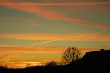Zach&oacute;d słońca na tle drzew.