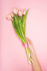 cropped view of woman holding tulips on pink