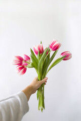 Hand holding bouquet of tulip flowers