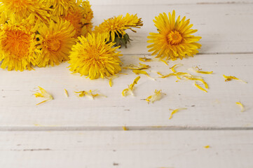 Spring yellow dandelions flowers on an old rustic white wooden background. Springtime, summertime , Easter concept. Nature yellow flowers background. Healthcare, organic cosmetic. Mock-up, copy space.