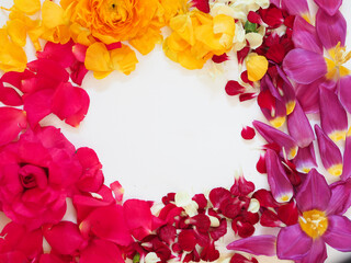 Frame of colorful flowers and flower petals