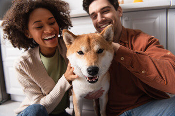 shiba inu dog looking at camera near interracial couple smiling on blurred background