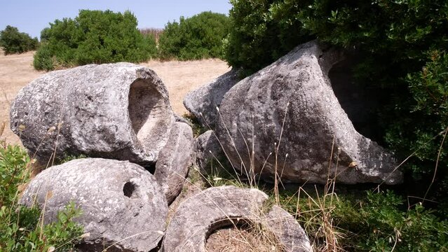 Carrucana stone forest. Petrified and mineralized tree trunk of Martis in Sardinia. Bassa Anglona, Sassari, Italy, Europe