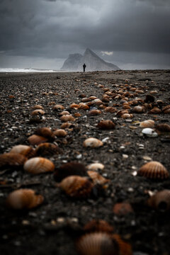 Man walking amongst seashells on beach with rock of Gibraltar in distance, La Linea de la Concepcion, Cadiz, Andalusia, Spain