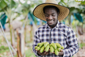 Young african farmer man holding fresh organic banana bunch