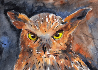 Owl closeup colorful grunge artwork portrait. Watercolor hand drawn picture on paper texture