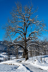 Winterlandschaft bei Oberstdorf