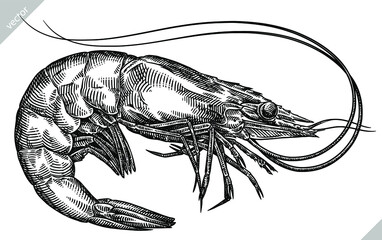 black and white engrave isolated shrimp vector illustration